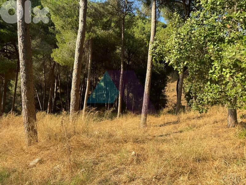 Prime Land+mountain view 4sale in Mansourieh - أرض للبيع في المنصورية 6