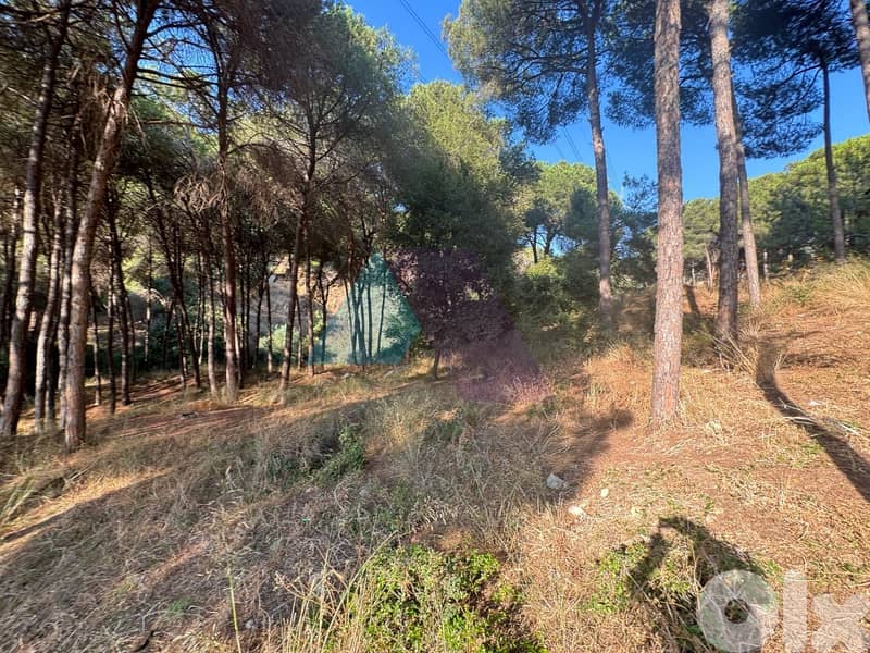 Prime Land+mountain view 4sale in Mansourieh - أرض للبيع في المنصورية 8