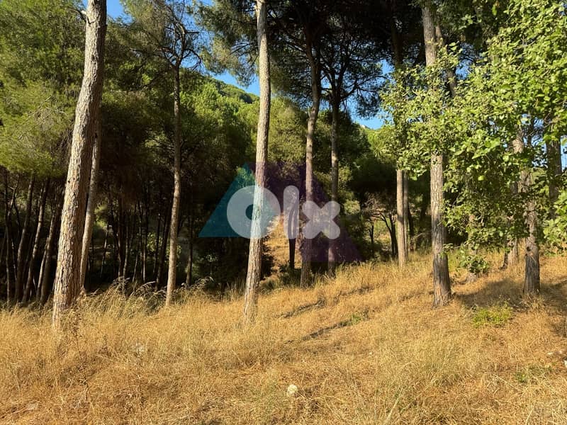 Prime Land+mountain view 4sale in Mansourieh - أرض للبيع في المنصورية 9