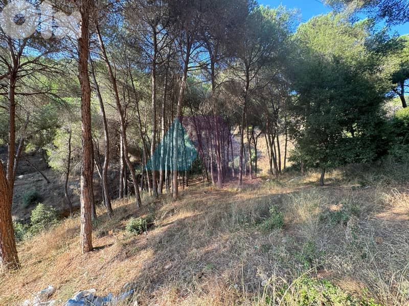 Prime Land+mountain view 4sale in Mansourieh - أرض للبيع في المنصورية 11