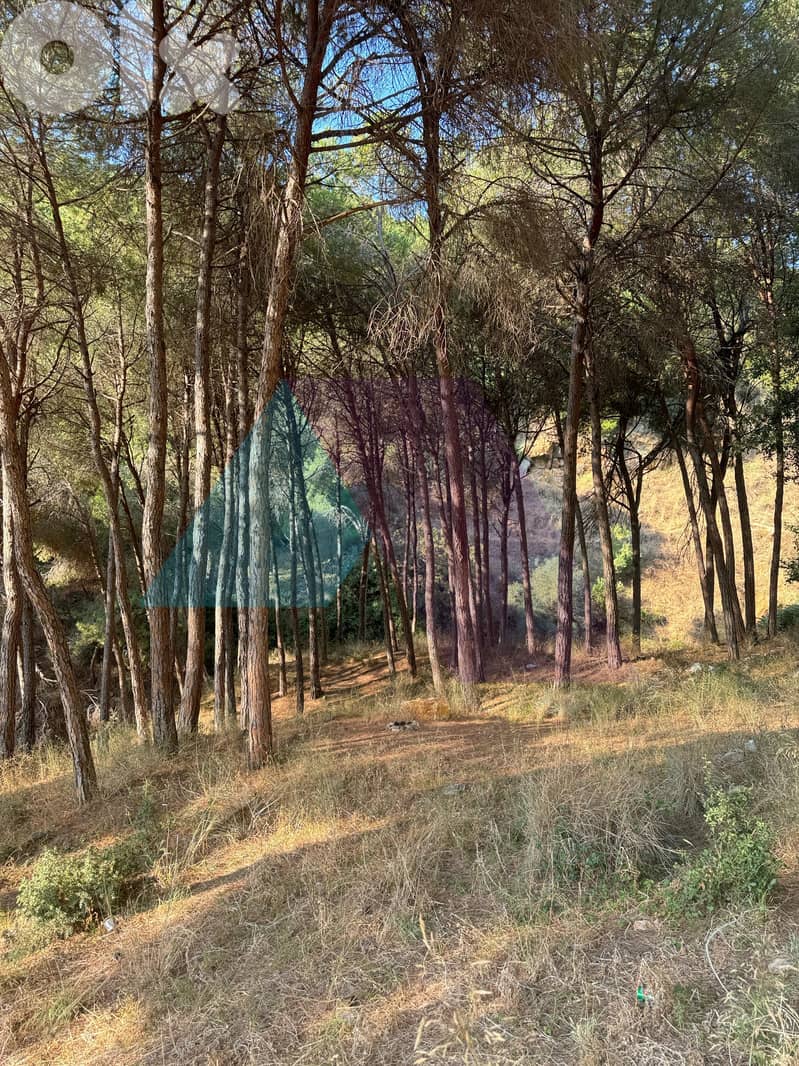 Prime Land+mountain view 4sale in Mansourieh - أرض للبيع في المنصورية 16