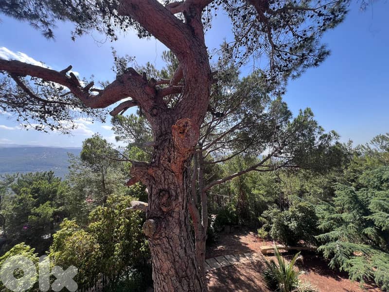 Villa with a land for Sale in Baabdat فيلا مع أرض للبيع في بعبدات 0