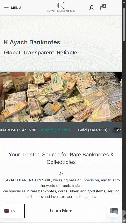 Web Development Website, Hosting, Emails, QR Code, Menu Starting 200$ 4