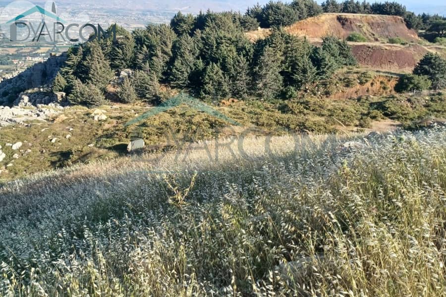 DY2892 - Kfarselwan, 5,000 SQM Nabaa el Asal Land For Sale! 1