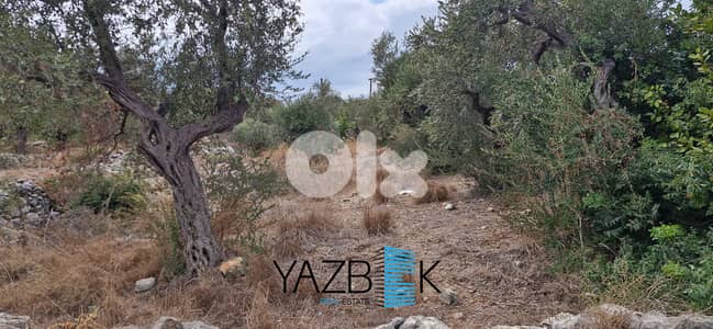 Land for Sale in Monsef  أرض للبيع في المنصف
