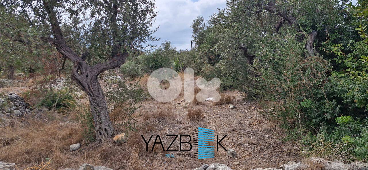 Land for Sale in Monsef  أرض للبيع في المنصف 0