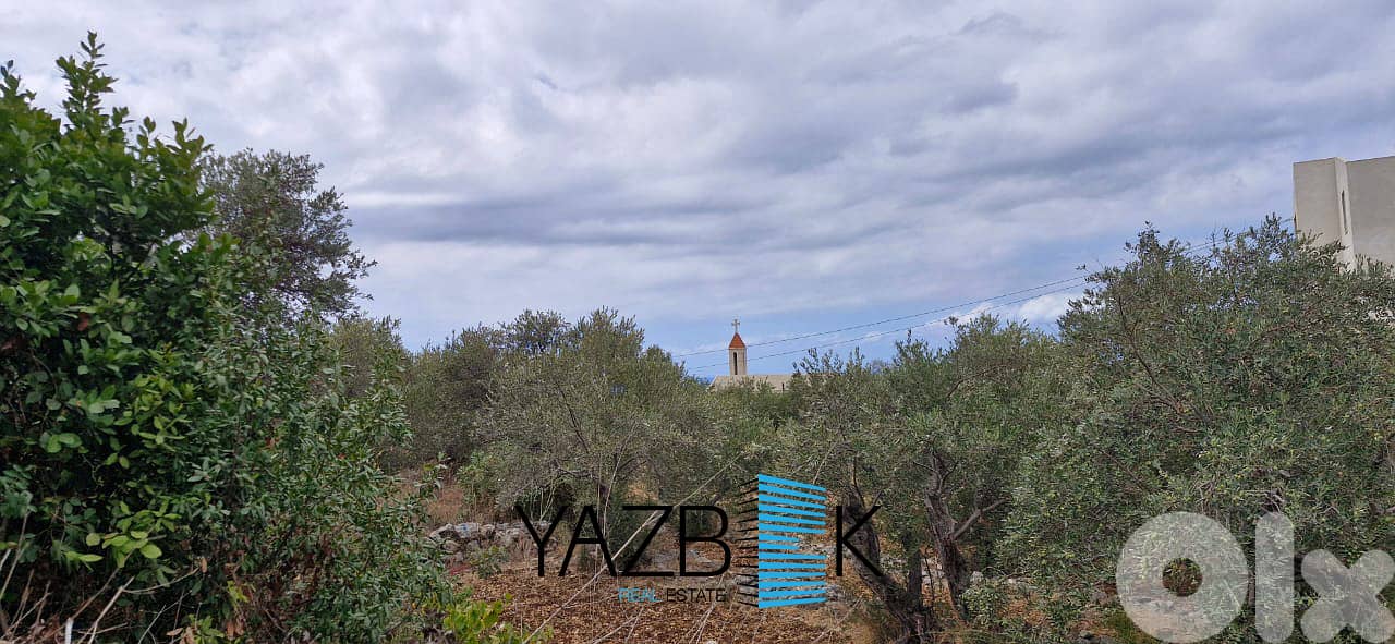 Land for Sale in Monsef  أرض للبيع في المنصف 1
