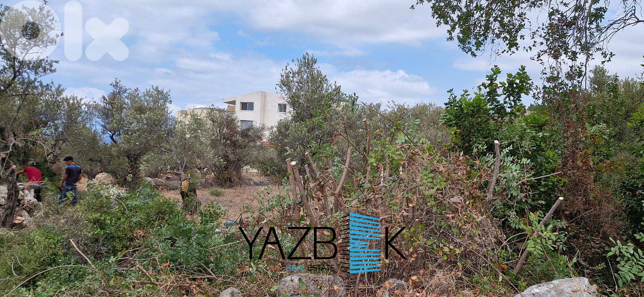 Land for Sale in Monsef  أرض للبيع في المنصف 2