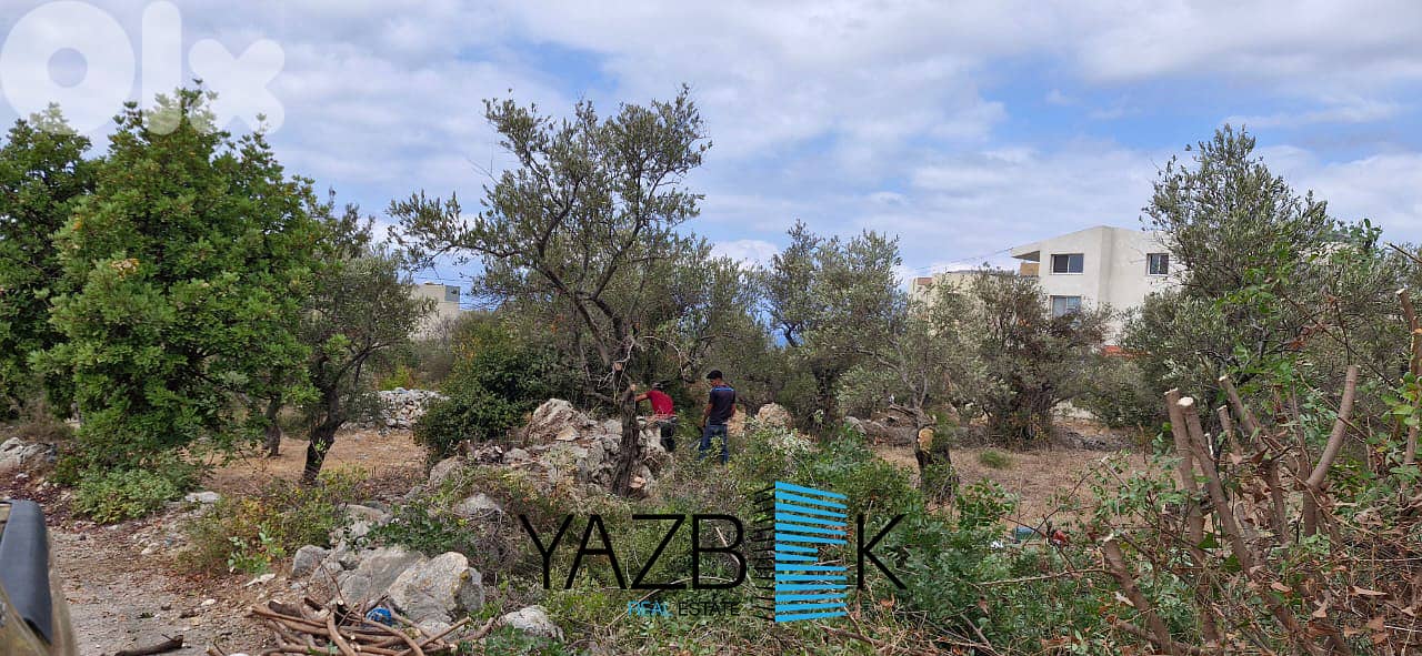 Land for Sale in Monsef  أرض للبيع في المنصف 3