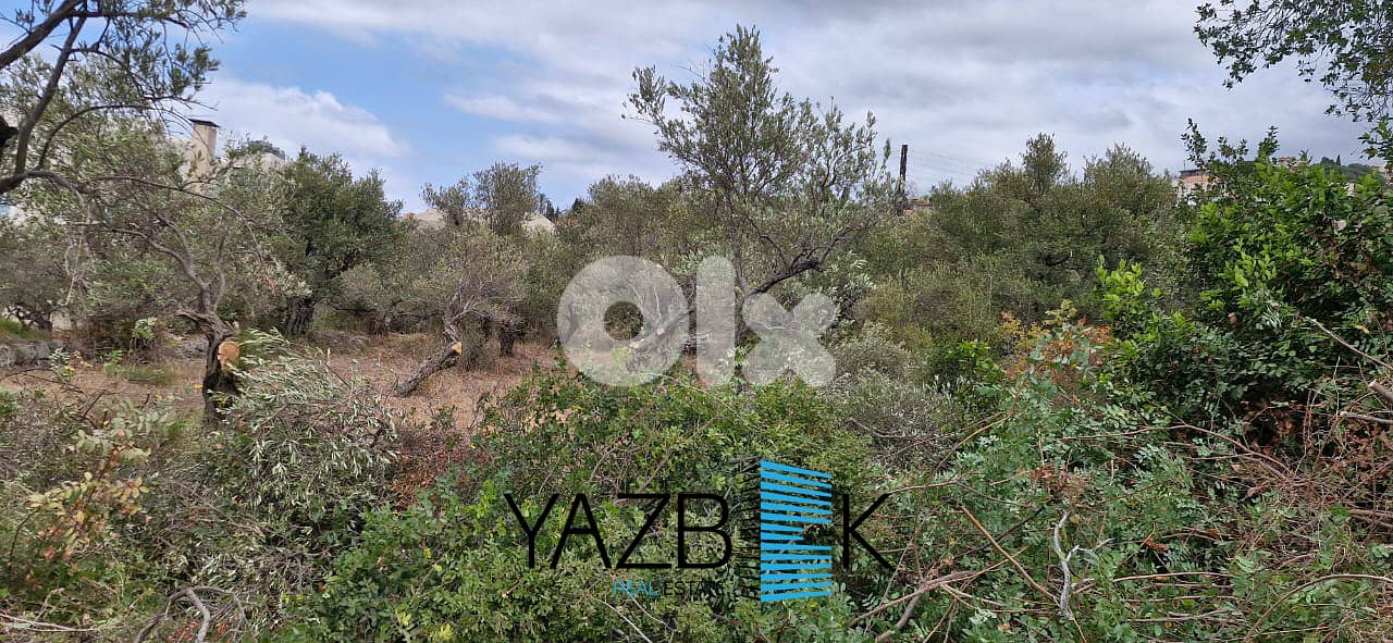 Land for Sale in Monsef  أرض للبيع في المنصف 4