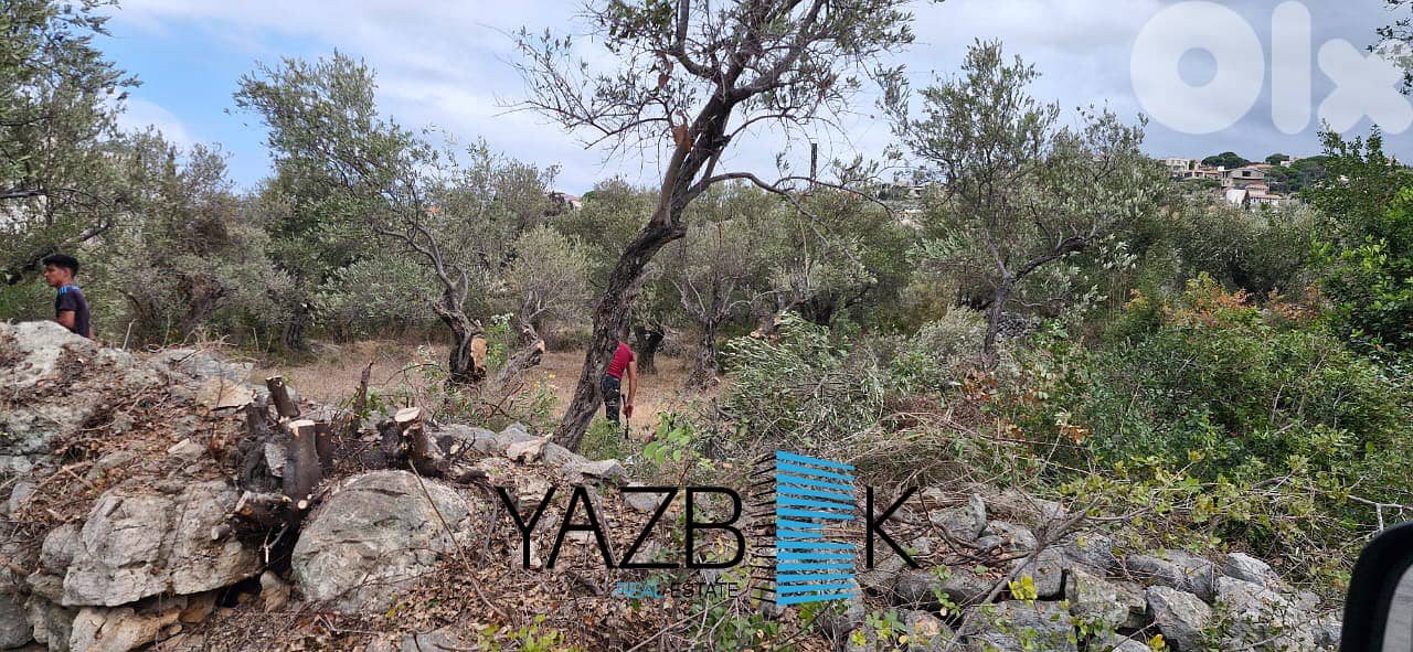 Land for Sale in Monsef  أرض للبيع في المنصف 5