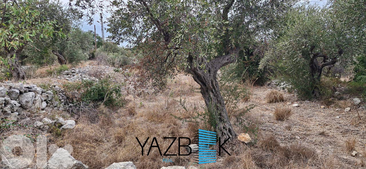 Land for Sale in Monsef  أرض للبيع في المنصف 6