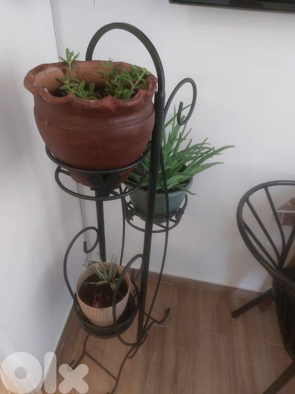 ستاند فرفوجيه مع الزريعه 3