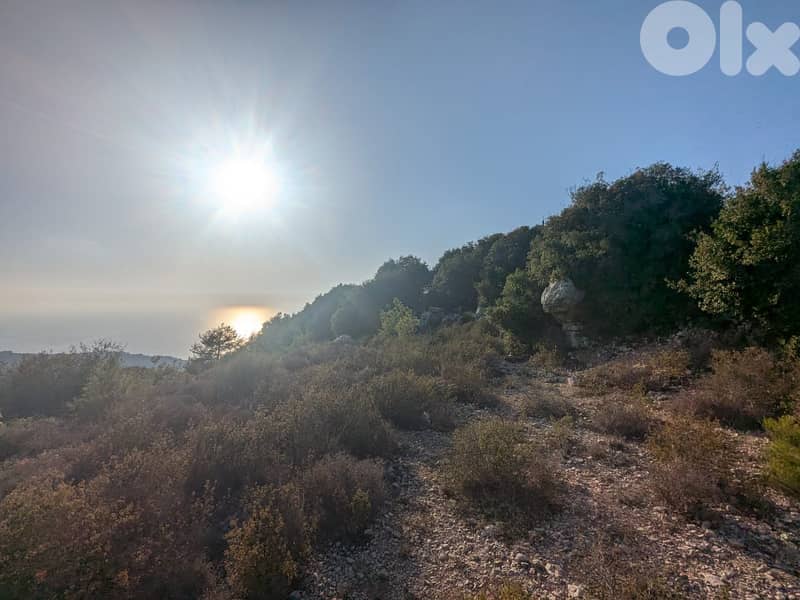 Land for sale in Blat, Jbeil  أرض للبيع في بلاط جبيل 1