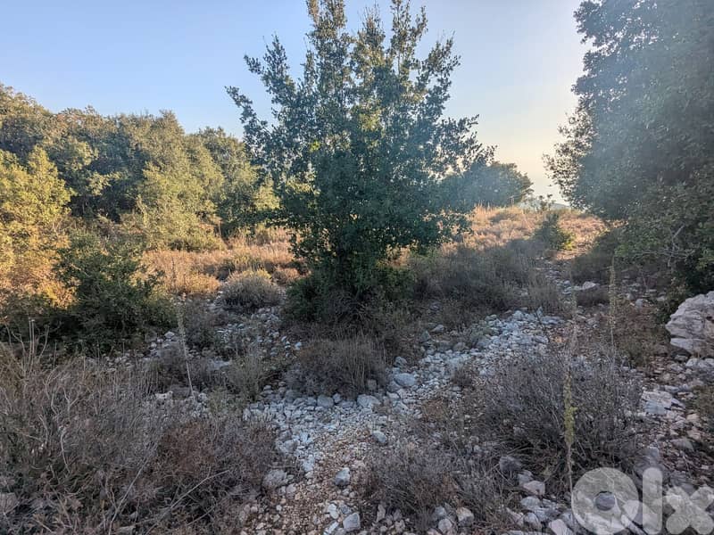 Land for sale in Blat, Jbeil  أرض للبيع في بلاط جبيل 6