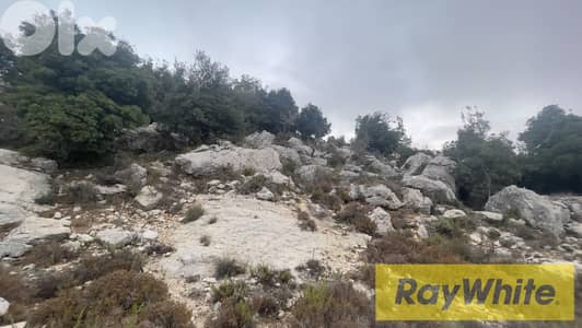 RWB304CA - Land For Sale In Lehfed Jbeil  - أرض للبيع في لحفد جبيل