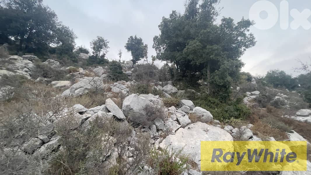 RWB304CA - Land For Sale In Lehfed Jbeil  - أرض للبيع في لحفد جبيل 6