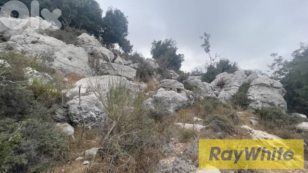 RWB304CA - Land For Sale In Lehfed Jbeil  - أرض للبيع في لحفد جبيل 7