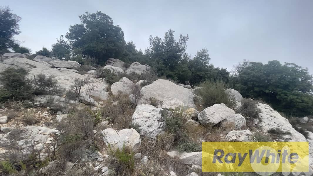 RWB305CA - Land For Sale In Lehfed Jbeil  - أرض للبيع في لحفد جبيل 1