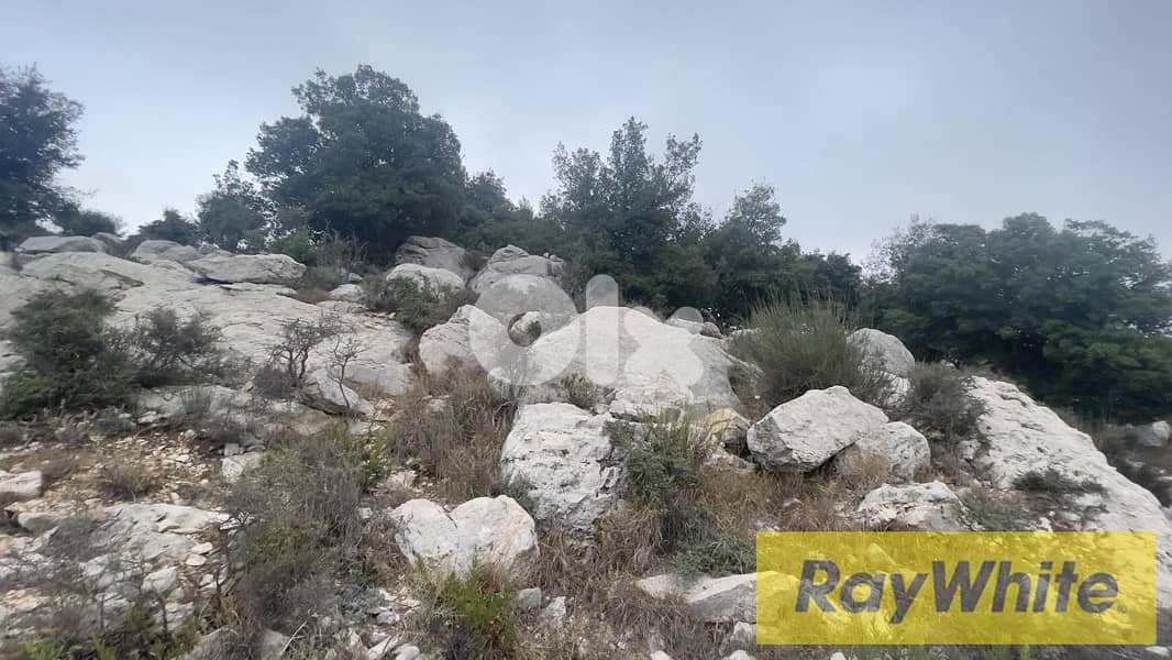 RWB305CA - Land For Sale In Lehfed Jbeil  - أرض للبيع في لحفد جبيل 4