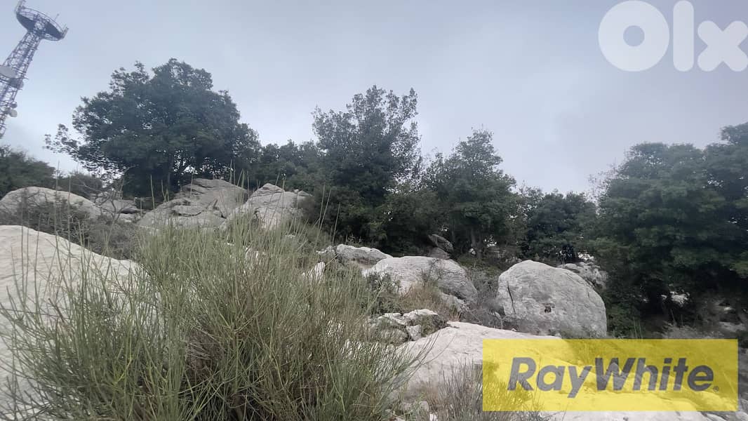 RWB305CA - Land For Sale In Lehfed Jbeil  - أرض للبيع في لحفد جبيل 6