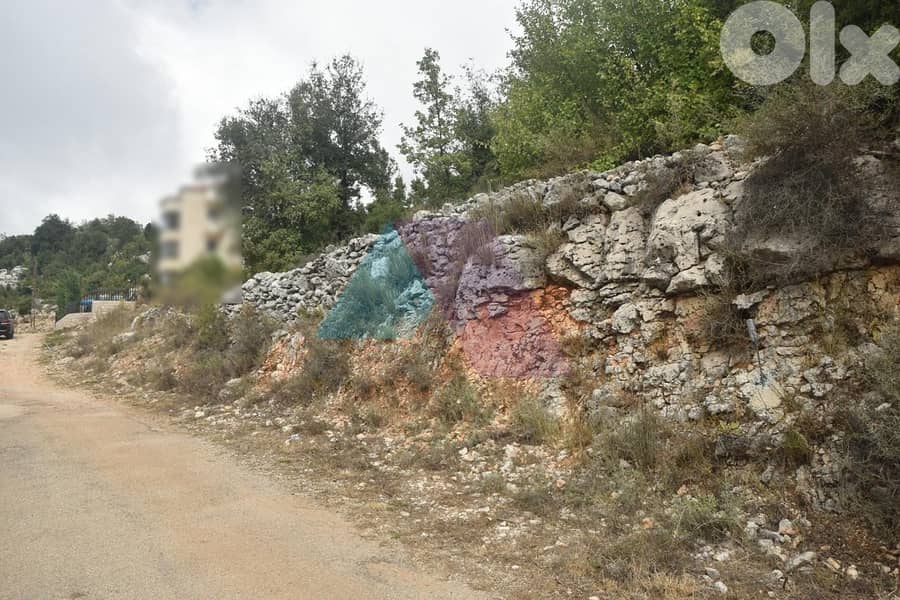 Residential Land with Dual Road Access 4sale in Ashqout - أرض في عشقوت 2