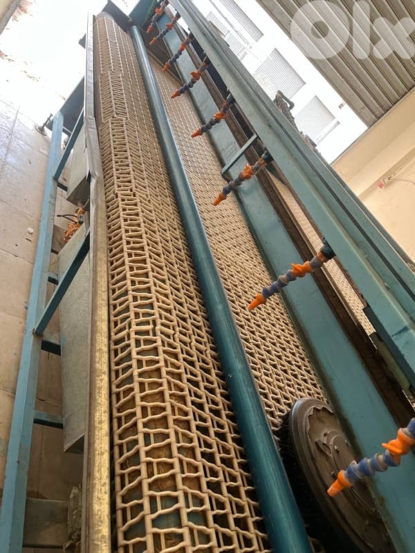 العباسية صور الجنوب 7