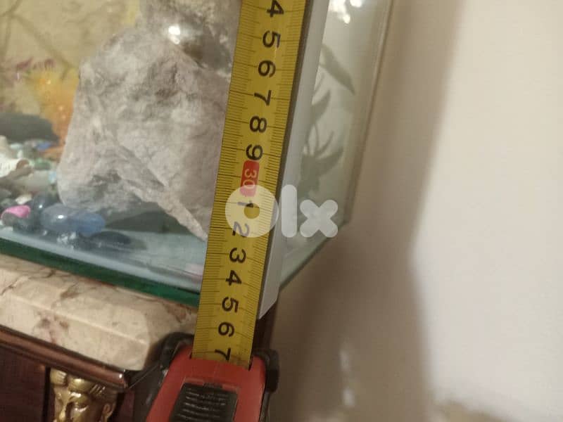 حواض سمك  كبير وحلو 2