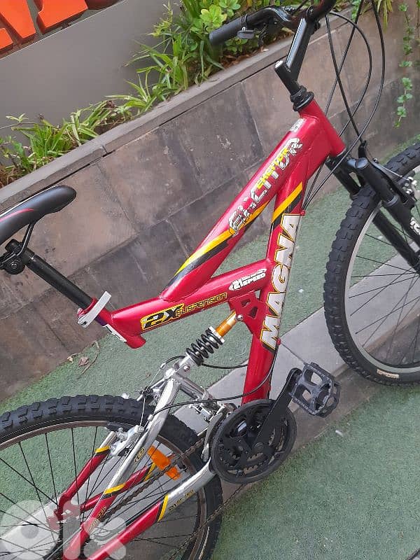 home bike 10