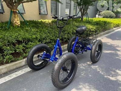 Lightweight Fat Tire 750w/48v Electric Quad Bike