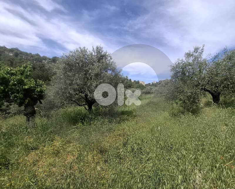 Land for sale in Lehfed -Jbeil REF#RB121517 2