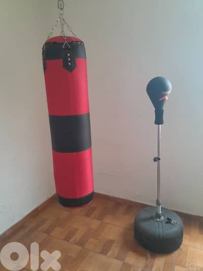 punching bag + boxing ball with a stand