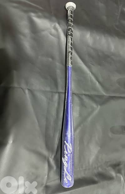Baseball bat