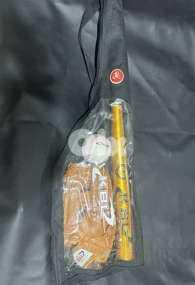 baseball set