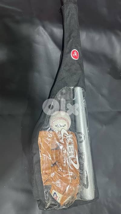 baseball set