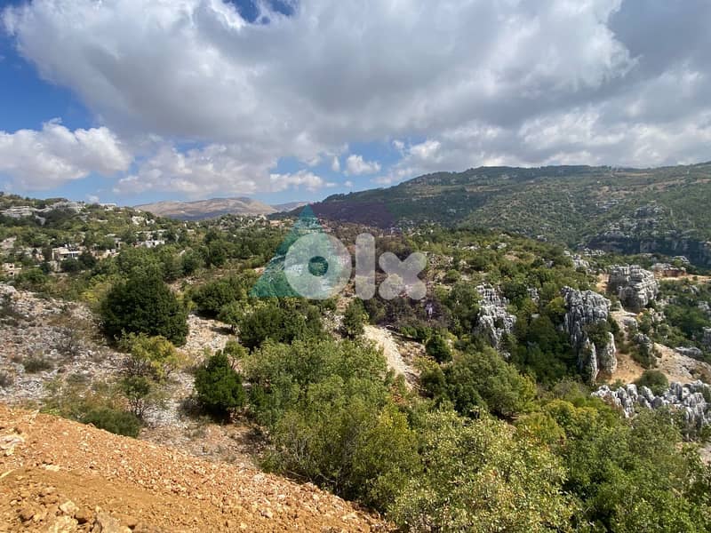 Land with Prime Location 4sale in Faytroun - أرض للبيع في فيطرون 1