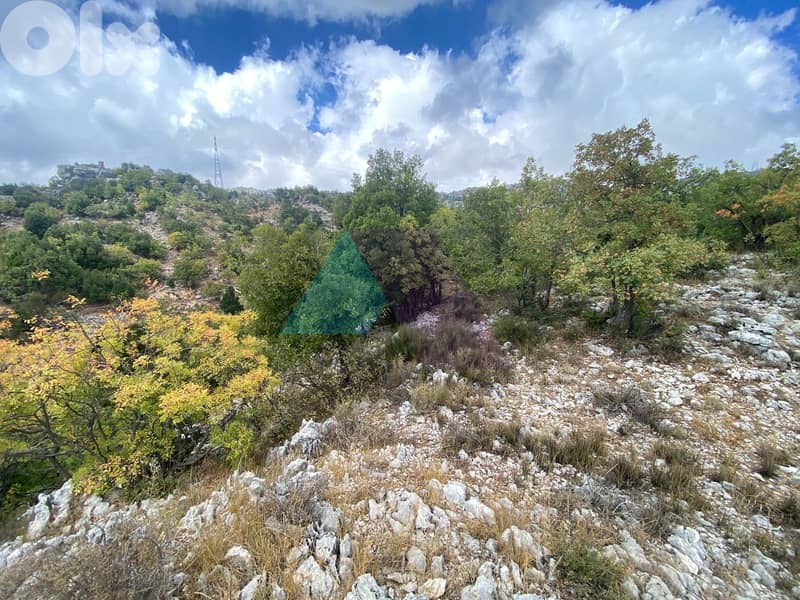 Land with Prime Location 4sale in Faytroun - أرض للبيع في فيطرون 3