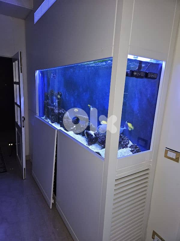 salt water aquarium for sale 1