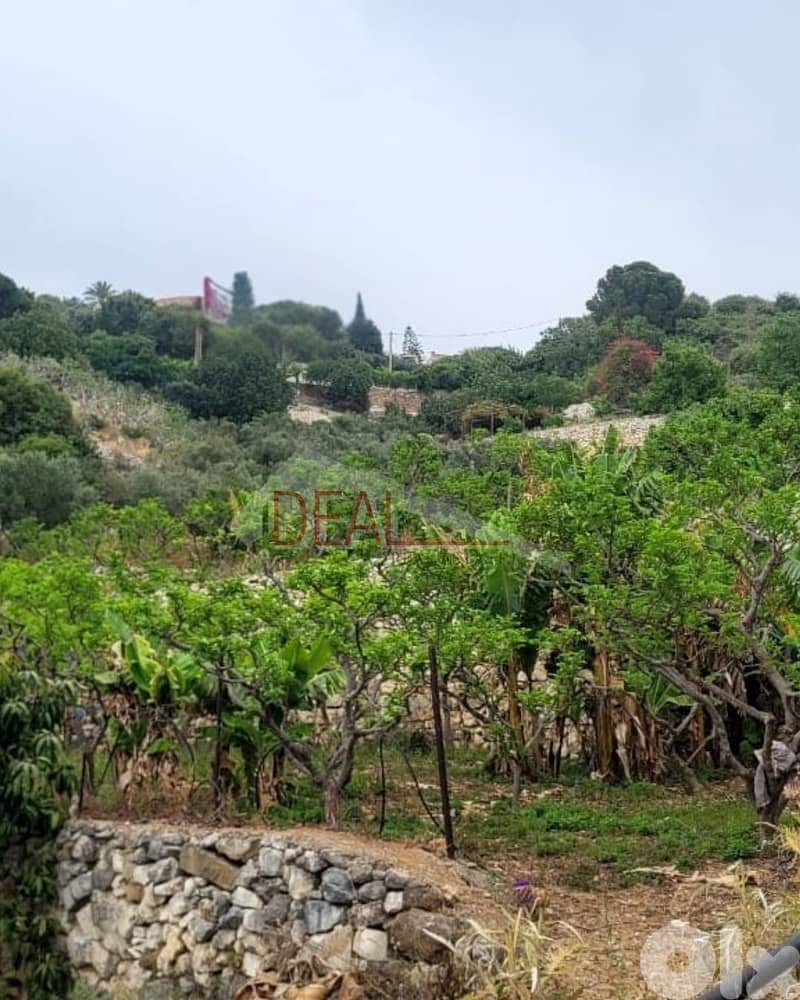 Land for sale in Barbara Jbeil عقار  للبيع في البربارة جبيل 1