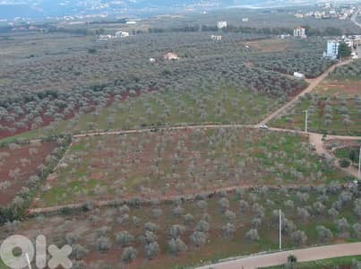 Land for sale in Btouratij-Koura أرض للبيع في بتوراتيج-الكورة