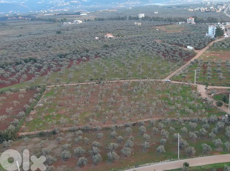 Land for sale in Btouratij-Koura أرض للبيع في بتوراتيج-الكورة 0