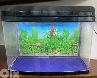 Aquarium in perfect condition