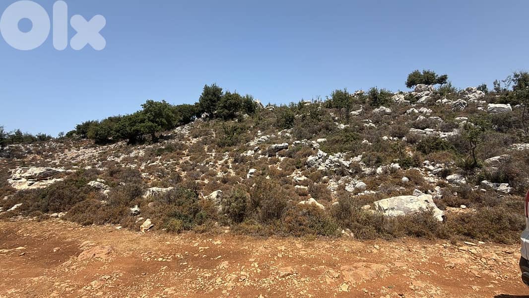 Land For Sale In Hakel Jbeil أرض للبيع في حاقل جبيل 0