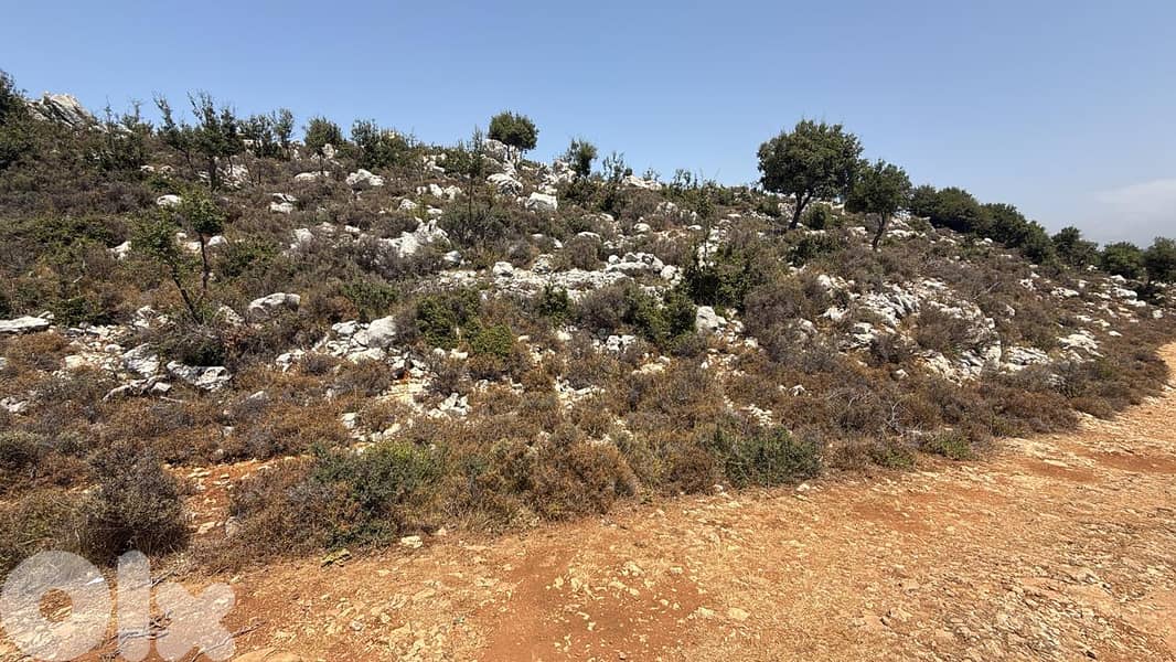 Land For Sale In Hakel Jbeil أرض للبيع في حاقل جبيل 1