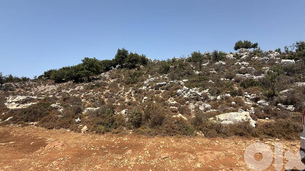 Land For Sale In Hakel Jbeil أرض للبيع في حاقل جبيل 3