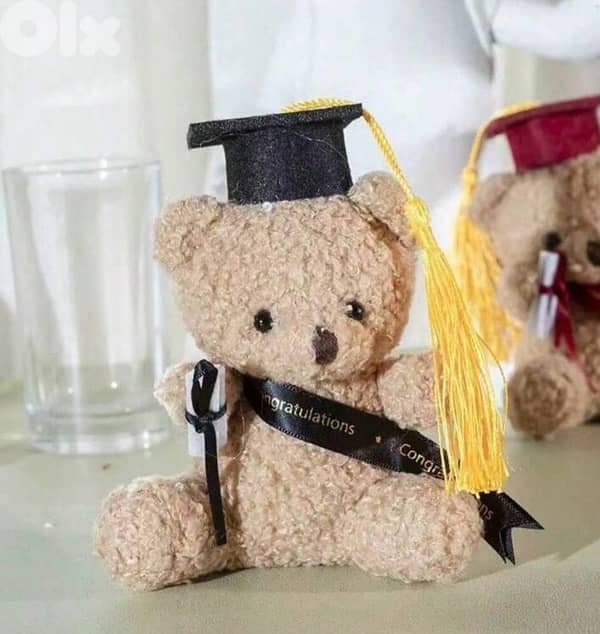 Cute Curly Graduation Teddy Bear plush 1