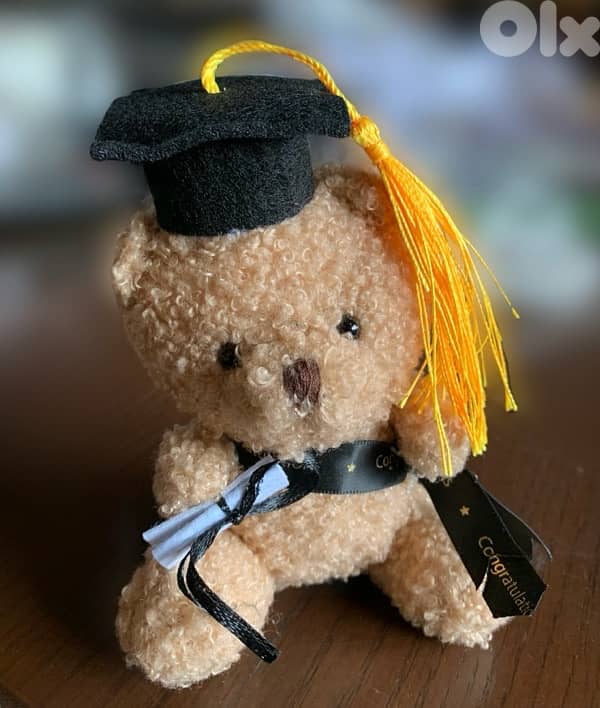 Cute Curly Graduation Teddy Bear plush 0