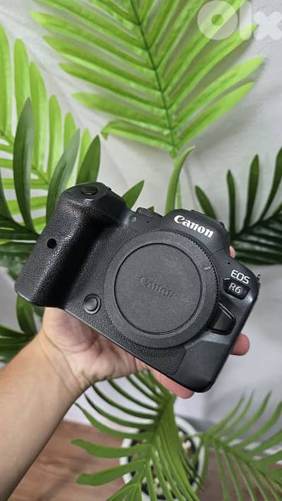 canon r6