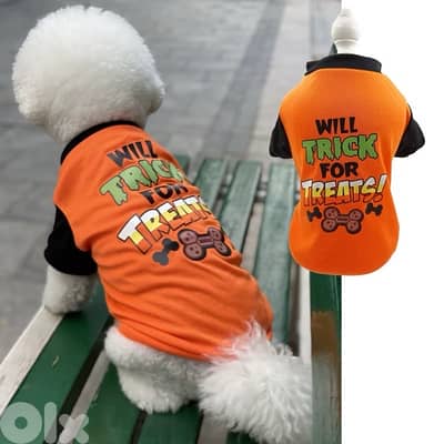 pet Halloween costume