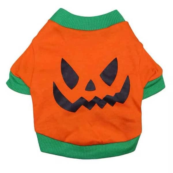 pet Halloween costume 2